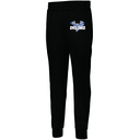 Men's PERFORMANCE FLEECE JOGGER